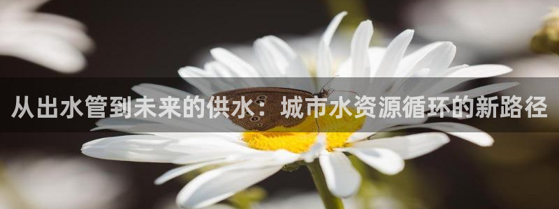 天辰娱乐维护