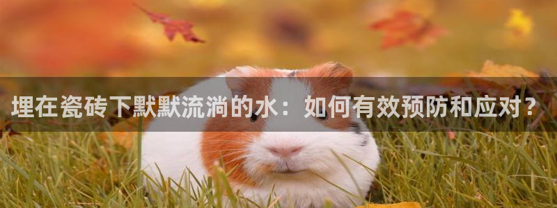 天辰娱乐电话