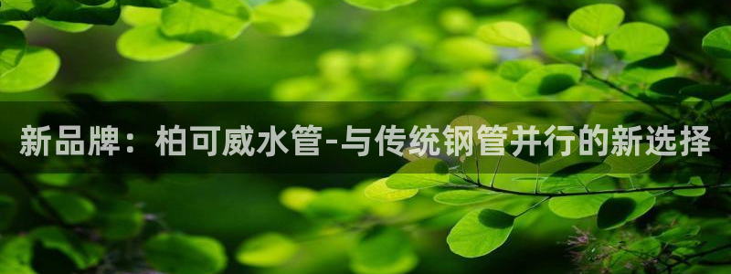 天辰娱乐 18113