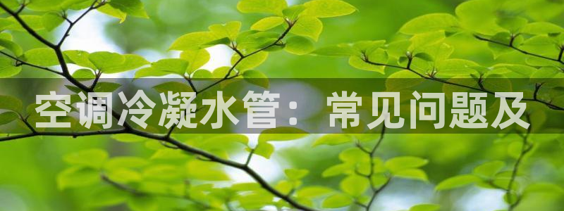 天辰娱乐分红
