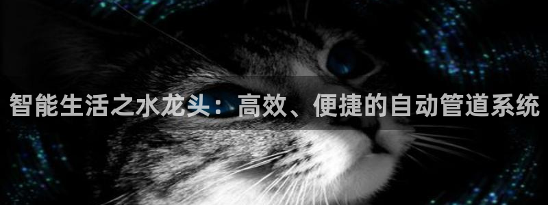 天辰说娱乐