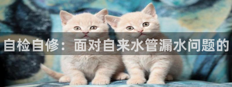 天辰说娱乐