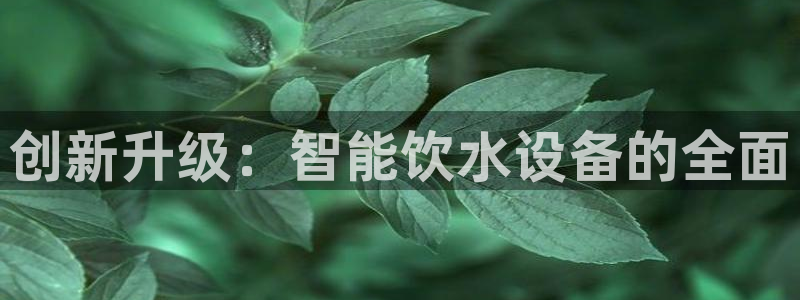 天辰娱乐所