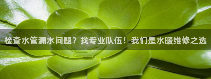 天辰娱乐60447