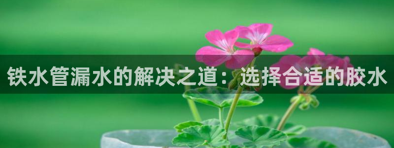 天辰娱乐反水