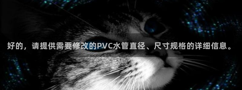 南充天辰娱乐