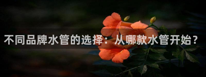 天辰娱乐咋样