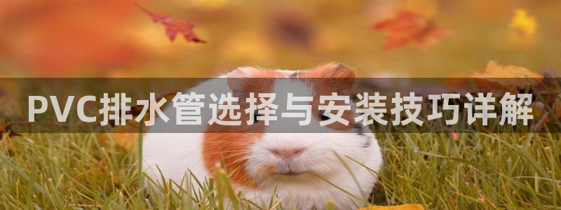 天辰娱乐登陆