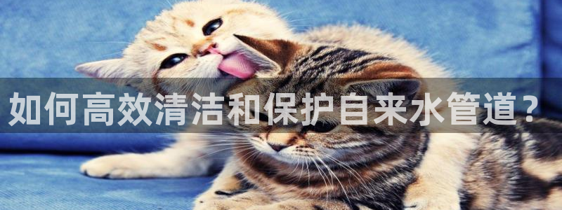 天辰娱乐台湾