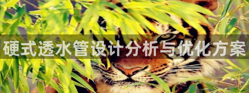 天辰娱乐赌博
