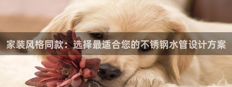 天辰娱乐 . 鱼刺