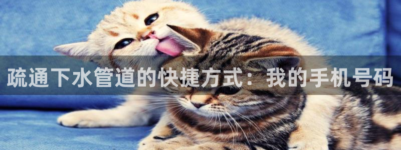 天辰娱乐61116