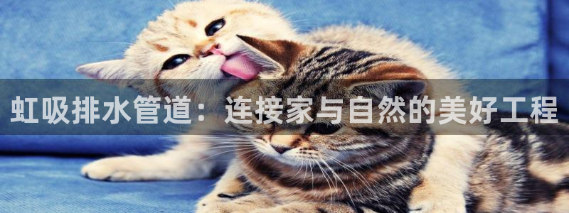 天辰娱乐 qq