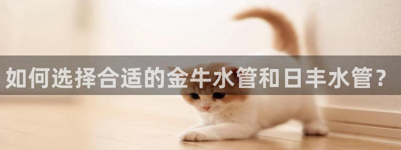 天辰娱乐的网址首页