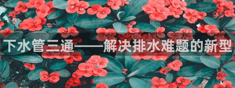 南京天辰娱乐