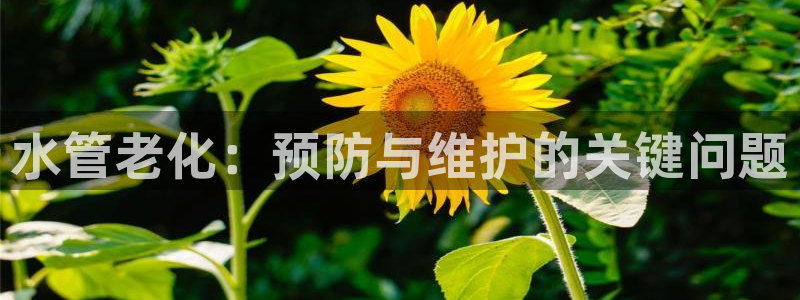 天辰娱乐咋样