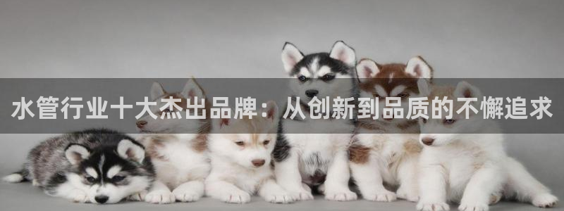 天辰娱乐公司