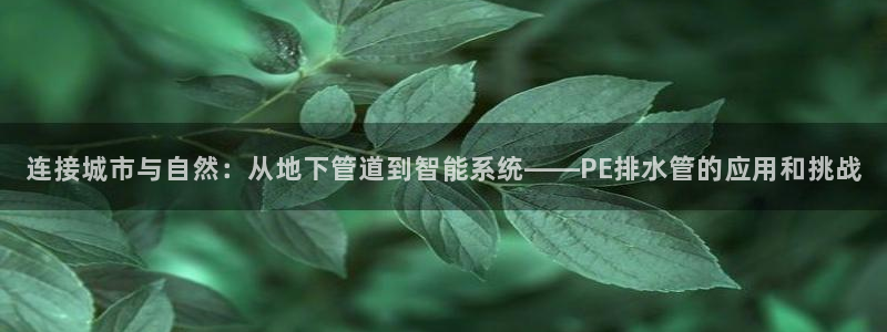 天辰娱乐分红