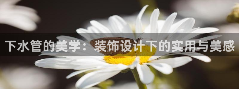 天辰娱乐开户