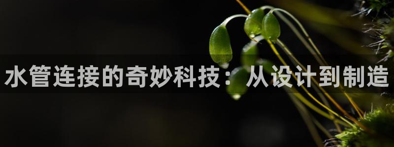天辰线上娱乐