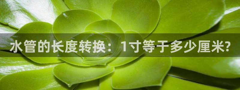 天辰娱乐娱乐平台