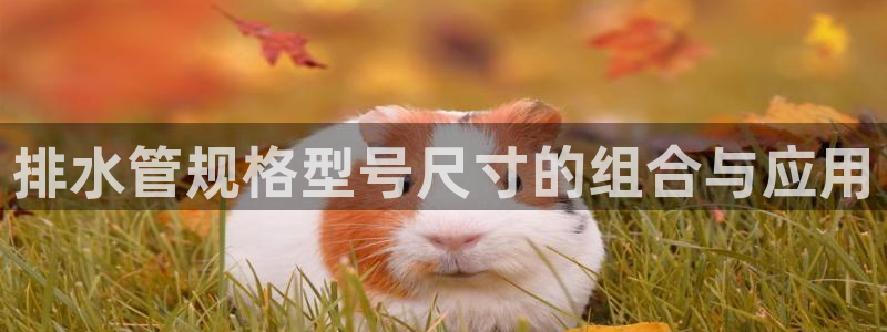 天辰娱乐平台测速