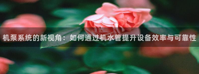 天富娱乐与天辰娱乐