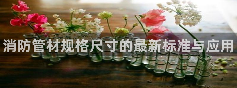 天辰娱乐总管年薪