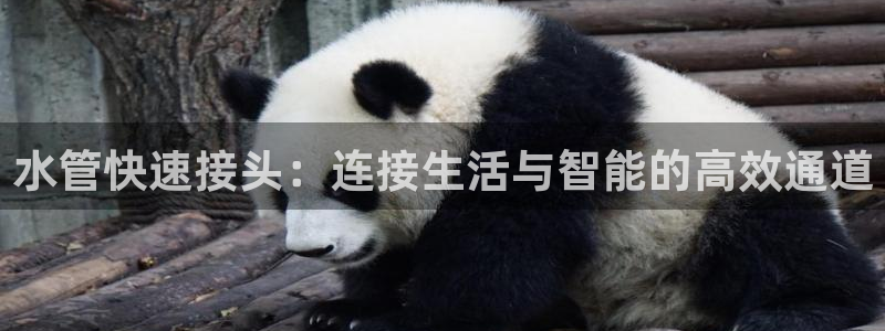 天辰娱乐官方登录入口