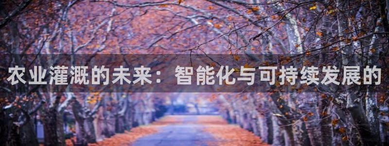 天辰娱乐平台地址