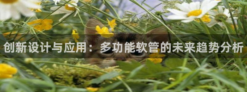 天辰娱乐首选
