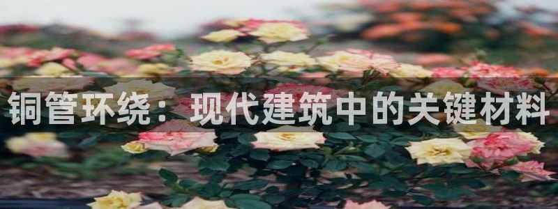 天辰注册娱乐