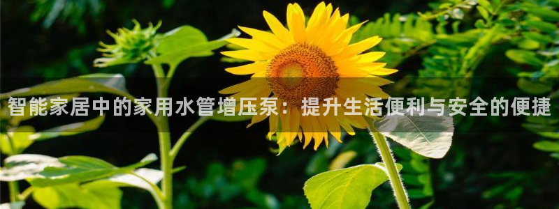 天辰娱乐登录测试
