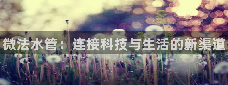 天辰在线娱乐