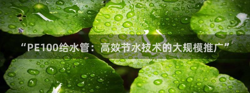 天辰娱乐 849852