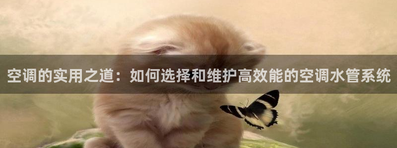 天辰娱乐平台安全吗