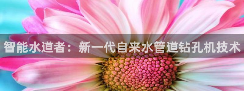 天辰娱乐 849852