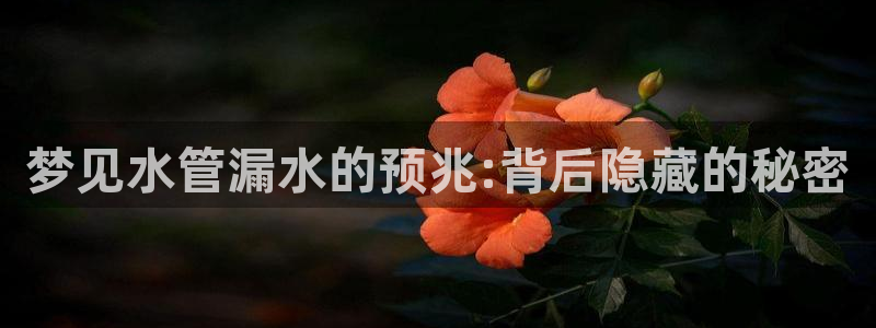 天辰娱乐服务